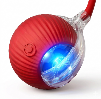 Pelota automática para mascotas